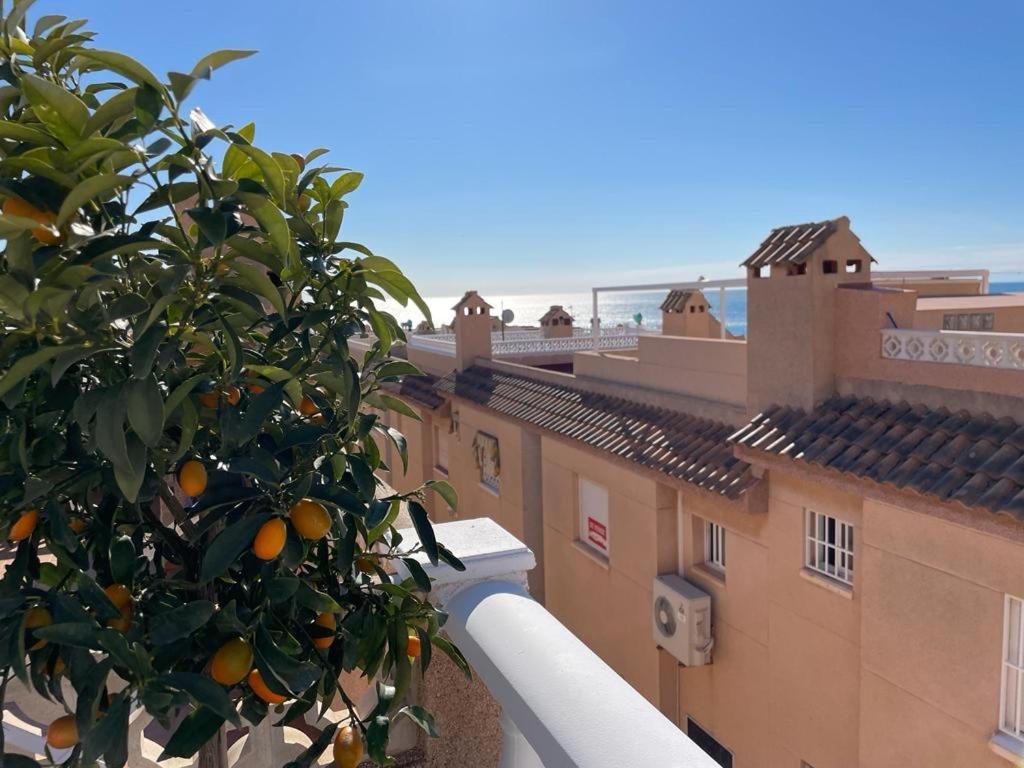 Apartament La Mata Torrevieja Eksteriør bilde